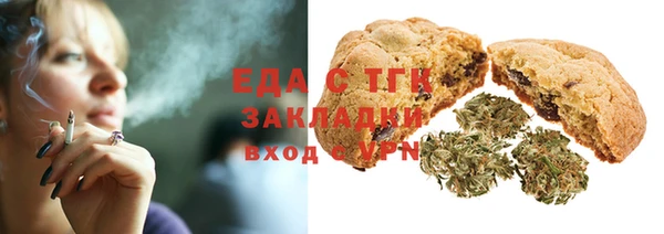 тгк Дмитров