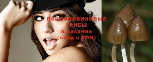 тгк Дмитров
