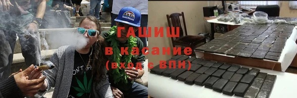 индика Ельня