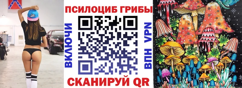 Купить  Старая Купавна  Галлюциногенные грибы мухоморы 